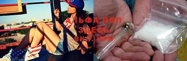 сатива Армянск