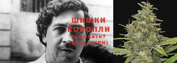 молекула духа Аркадак