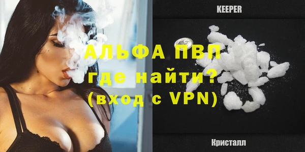 сатива Армянск