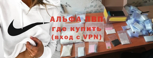 сатива Армянск