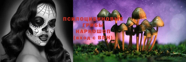 сатива Армянск