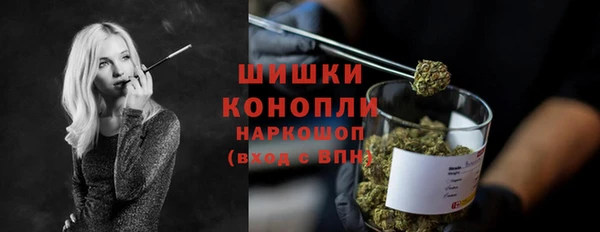 молекула духа Аркадак