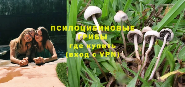 сатива Армянск