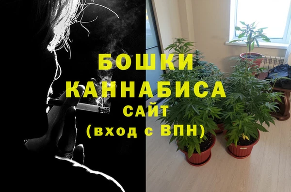 молекула духа Аркадак
